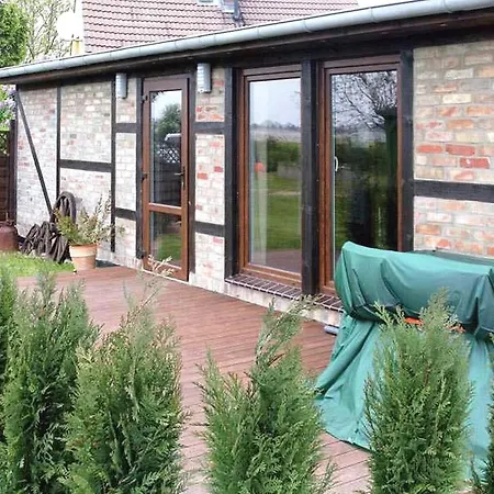 Pet Friendly In Usedom With Kitchen Ostklune